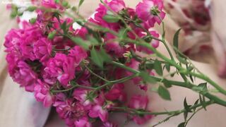 Delicate aroma - Amour Angels (2026)