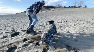 Hiking and Fucking at the Alaska Sand Bluffs - Sparks Go Wild (2026)