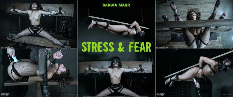 InfernalRestraints presents Dakota Marr - Stress & Fear HD (2022)
