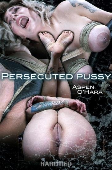 Persecuted Pussy SD - Aspen O'Hara (2022)
