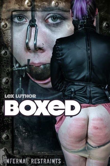 Boxed HD - Lex Luthor (2022)