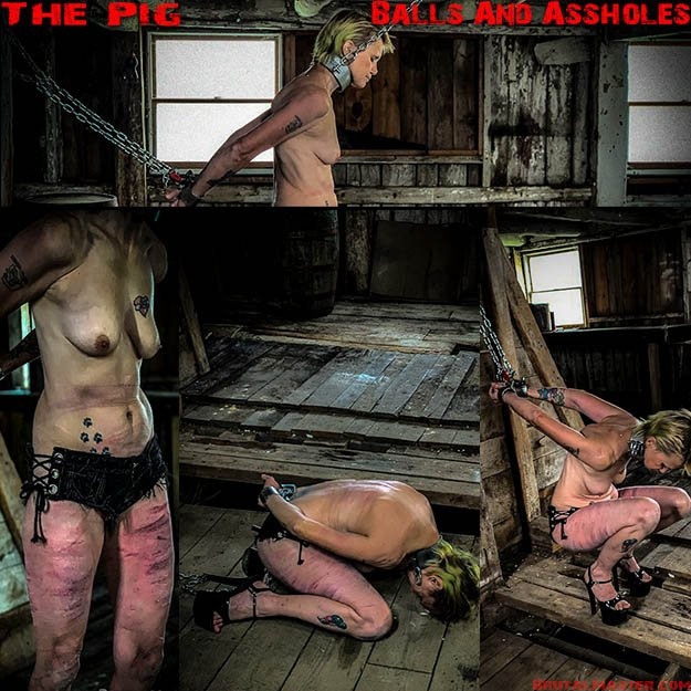 The Pig - Balls And Assholes 1920x1080 (2022)