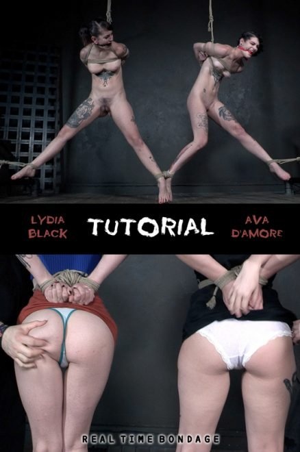 Tutorial HD (2022)