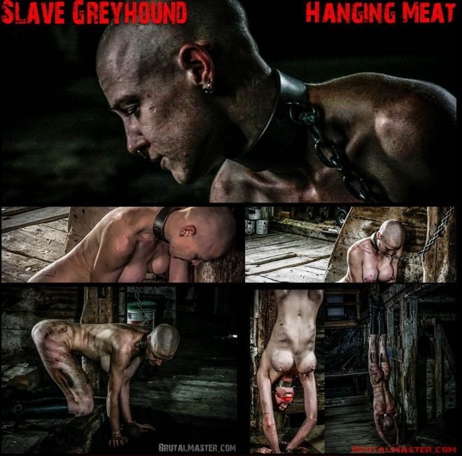 Brutal Master Hanging Meat: Slave Greyhound 1920x1080 (2019)